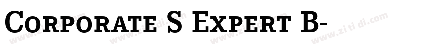 Corporate S Expert B字体转换